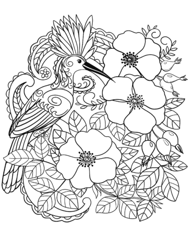 Eurasian Hoopoe Bird In Flowers Coloring Page